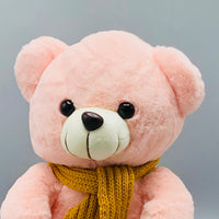 12* Inches Premium Teddy Bear Stuff Toy - Pink