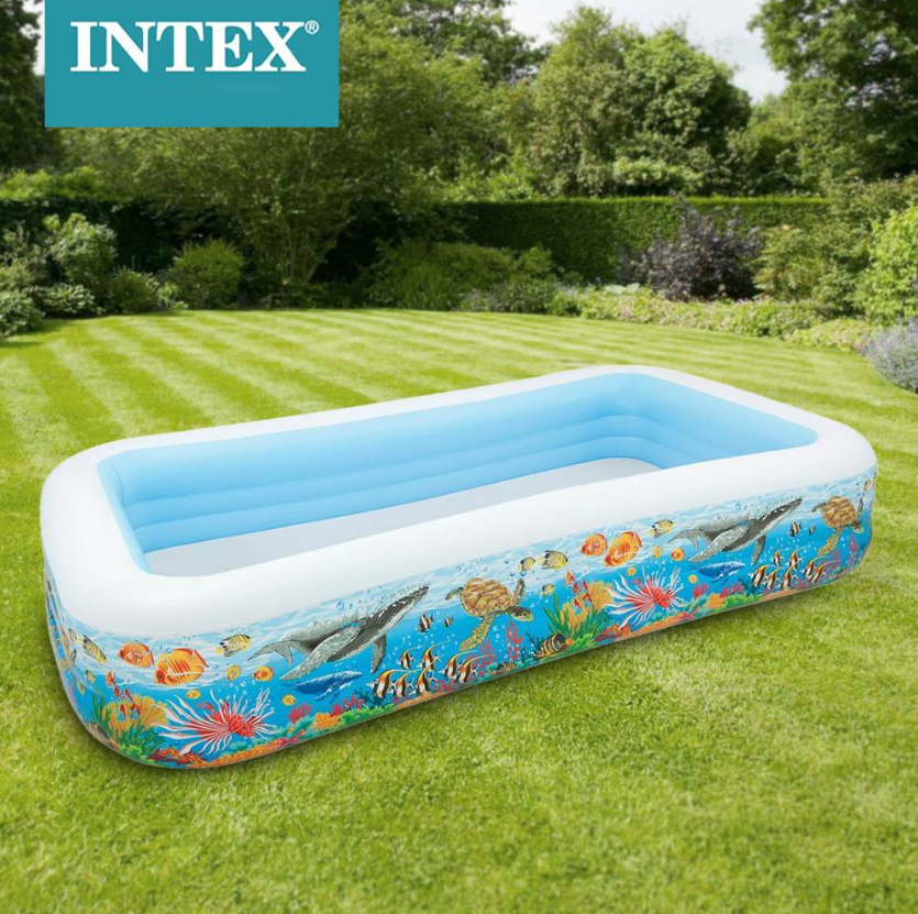 INTEX Swim Center Tropical Reef Family Pool (120" x 72" x 22")