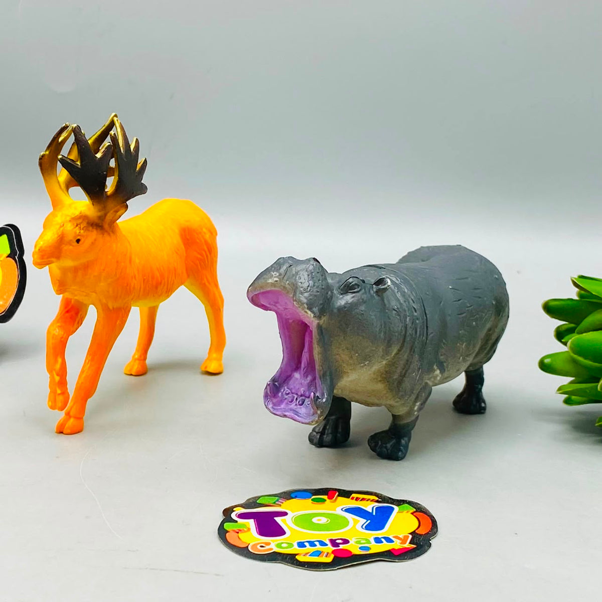 11Pcs Kids Premium Animal World