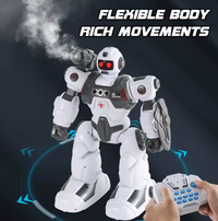 Remote & Gesture Control Spray & Bullet Shooting Robot