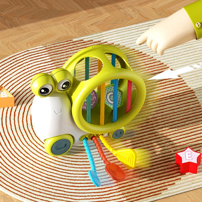 Premium Baby Snail Activity Toy