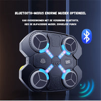 Thumbnail for USB Powered Musical Boxing Target With Lights
