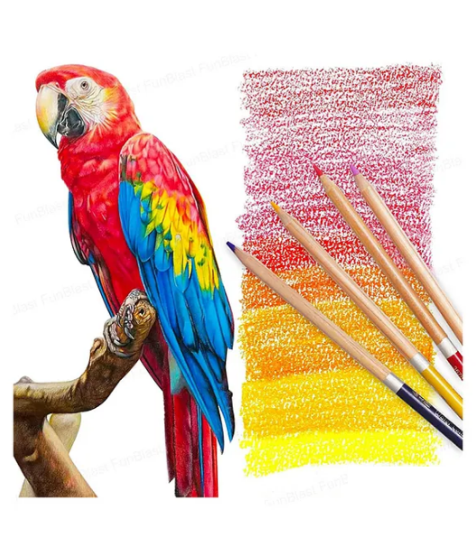 48Pcs Water Color Pencils Set With Tin Box