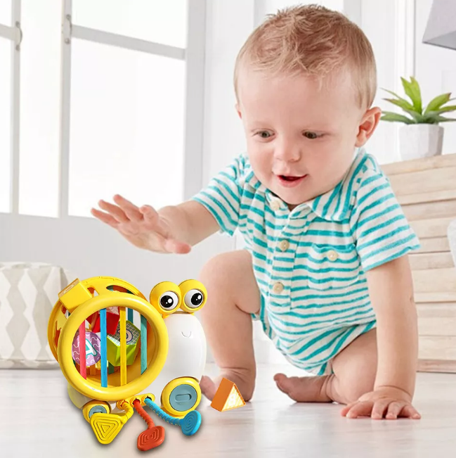 Premium Baby Snail Activity Toy