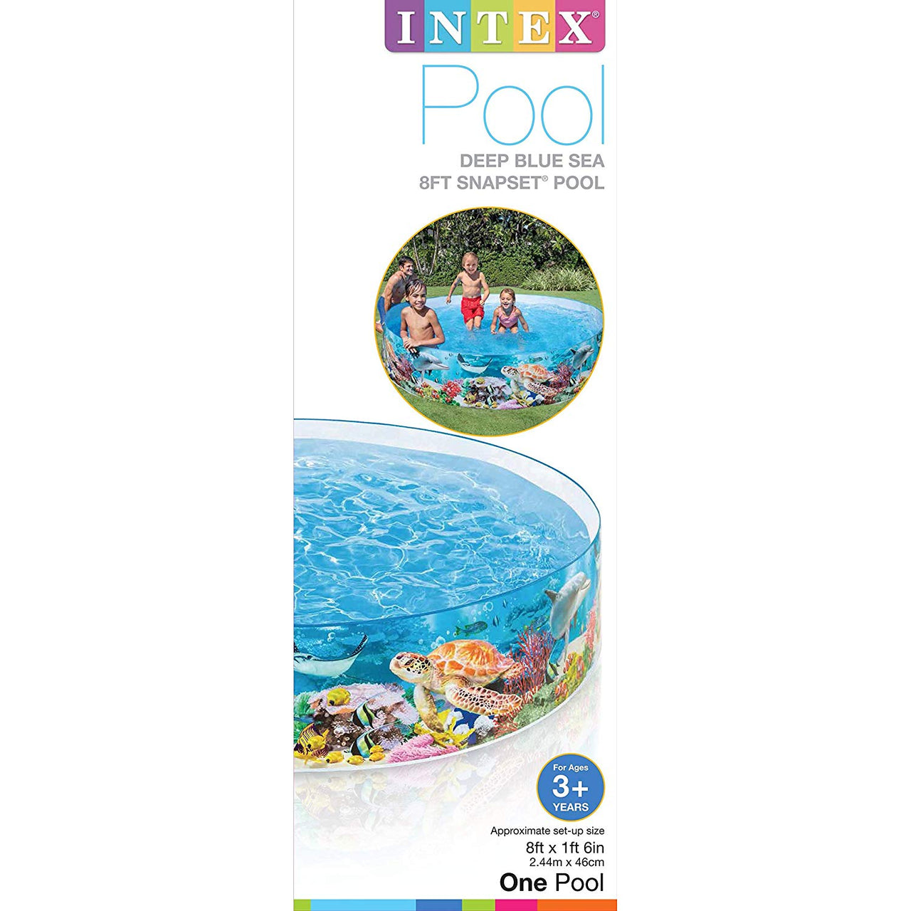 Intex Coral Reef Snapset Pool (8' x 1'6")