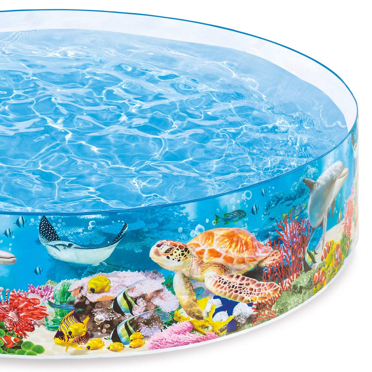 Intex Coral Reef Snapset Pool (8' x 1'6")