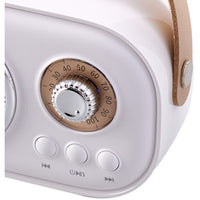 C20 Plus Wireless Karaoke Bluetooth Speaker With Microphone