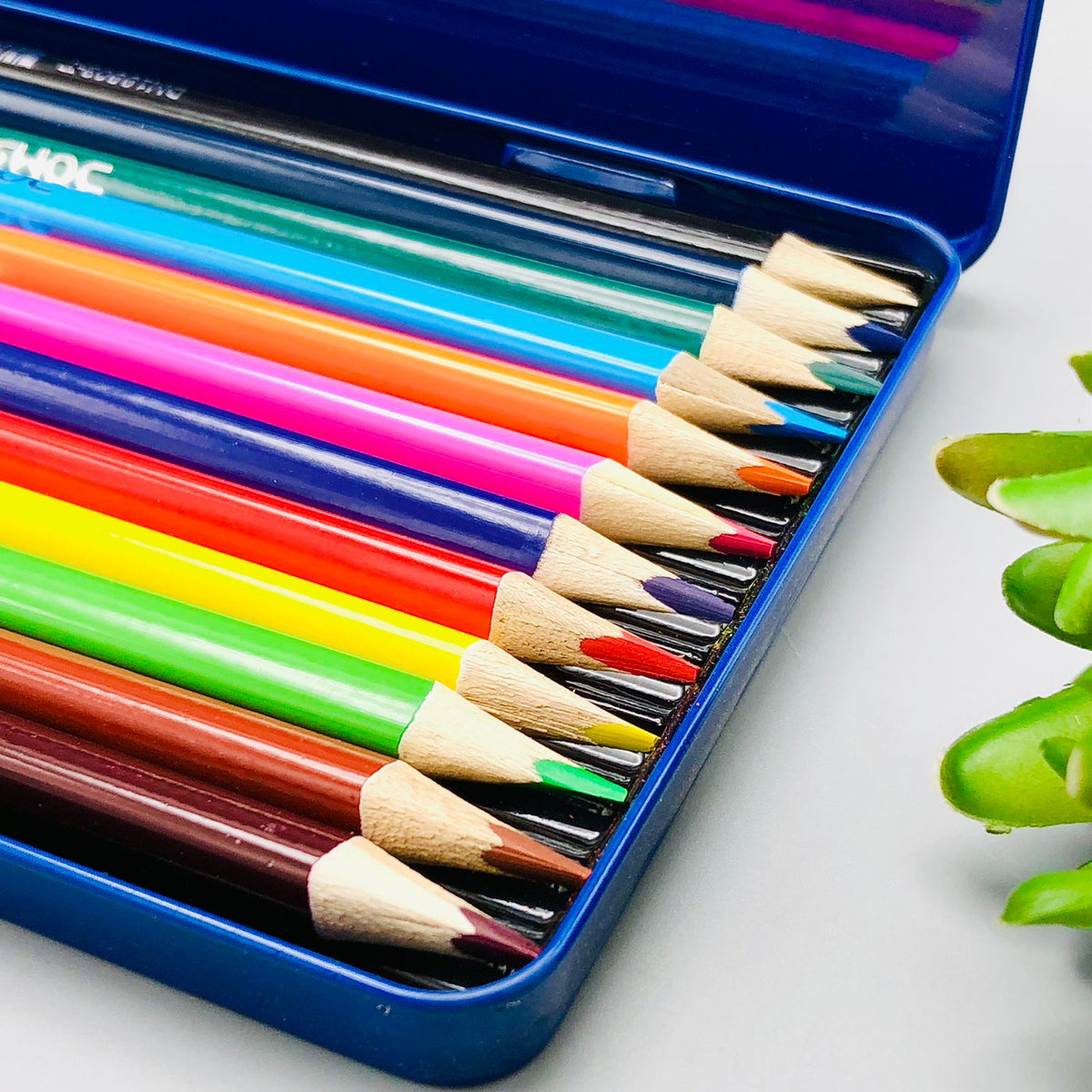 12Pcs Color Pencils Set
