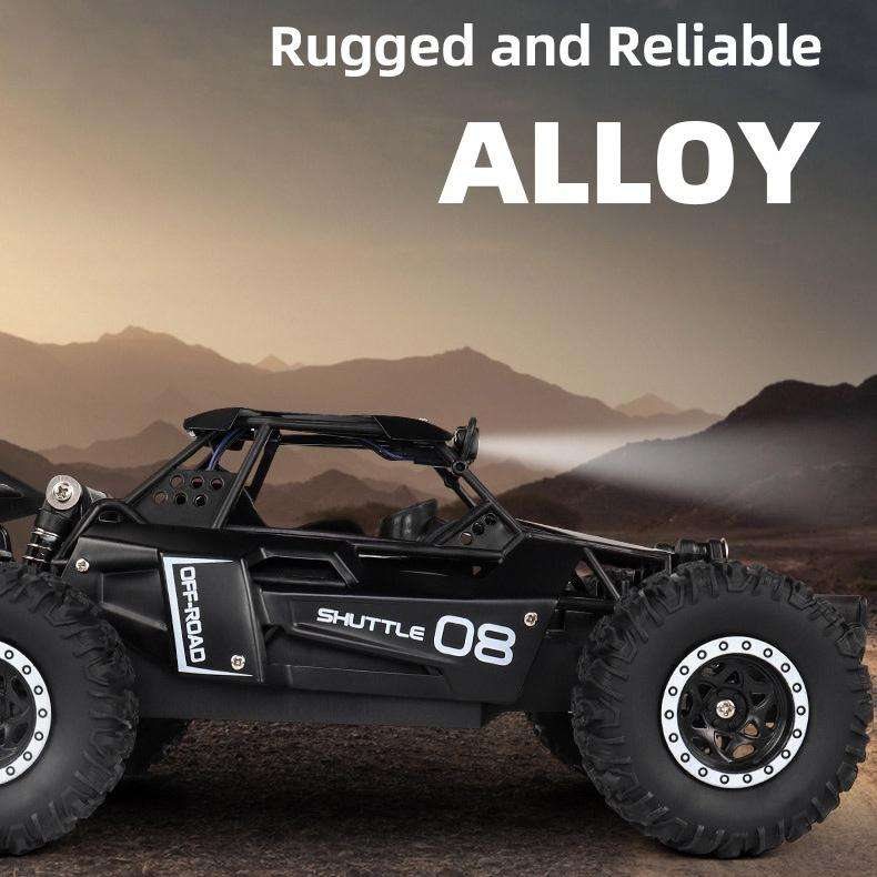 1:16 RC 2.4GHz Wild Off-Road Car