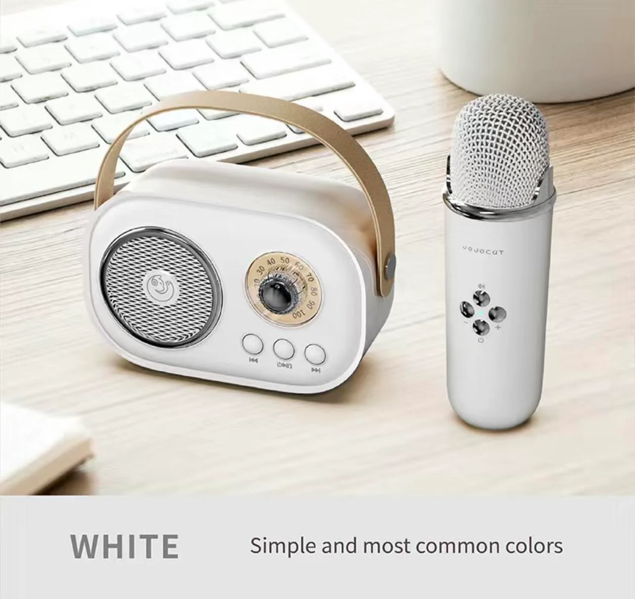 C20 Plus Wireless Karaoke Bluetooth Speaker With Microphone