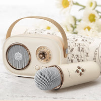 C20 Plus Wireless Karaoke Bluetooth Speaker With Microphone