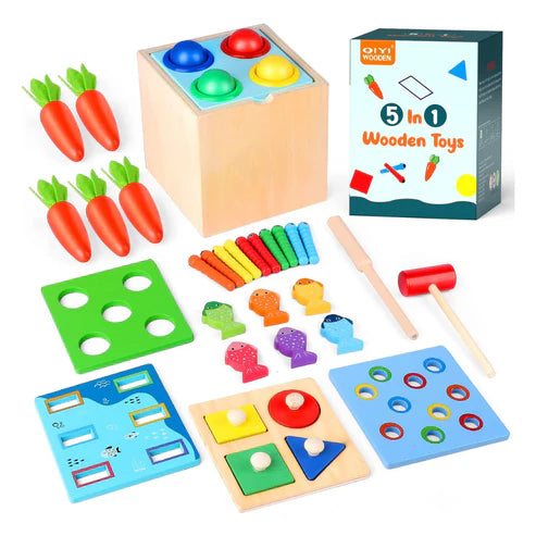 5in1 Wooden Montessori Educational Toy