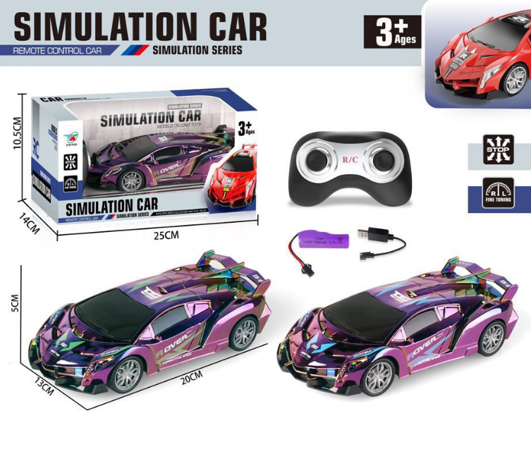 Remote Control Mini Simulation Racing Car