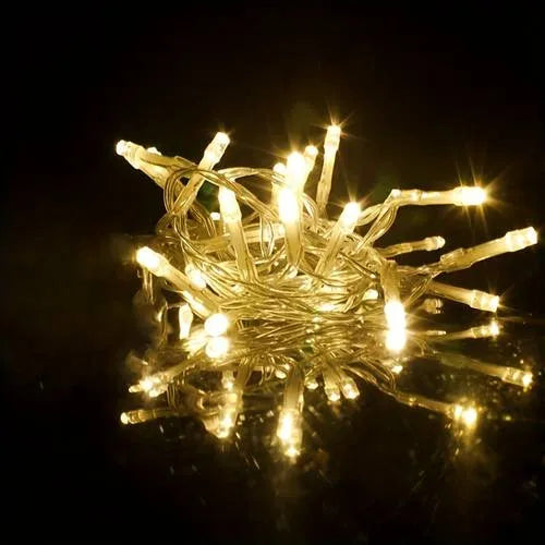 Premium Decor Golden Fairy Lights