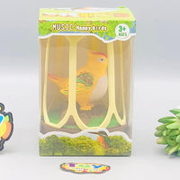 Kids Voice Interaction Musical Bird Cage With Lights