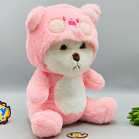 12* Inches Premium 2in1 Hoodie Bear Stuff Toy - Pink