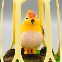 Kids Voice Interaction Musical Bird Cage With Lights
