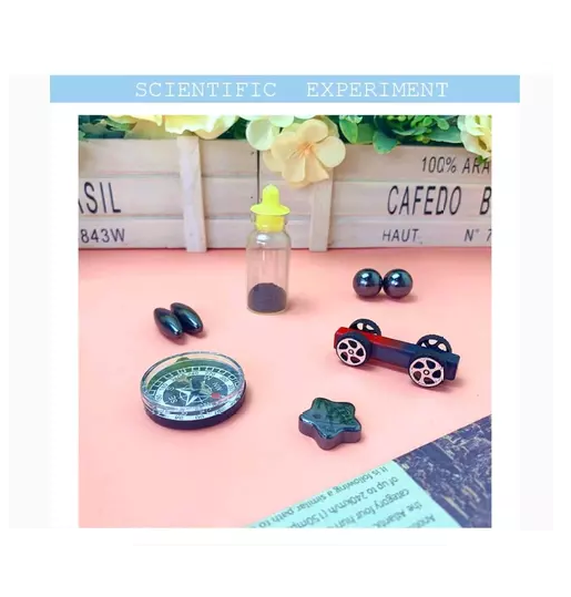 DIY Creative Magnetic Compass Scientific Experiment Set