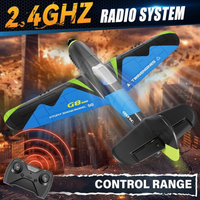 2.4G Remote Control G8 Glider Flying Jet