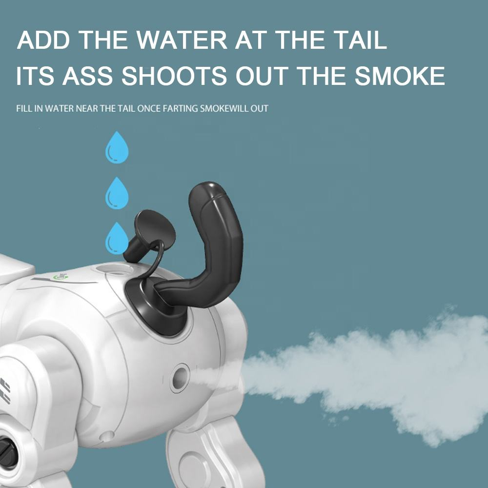 RC Multi-functional Lucky Robot Dog With Smoke
