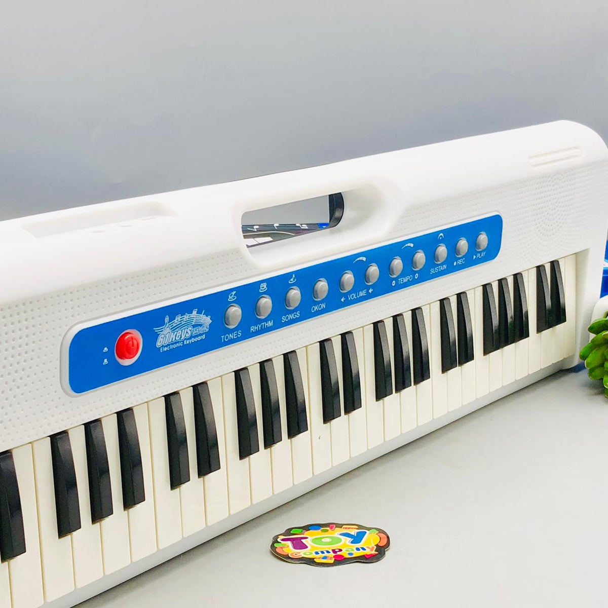 61 Keys Kids electronic Keyboard Piano With Mic