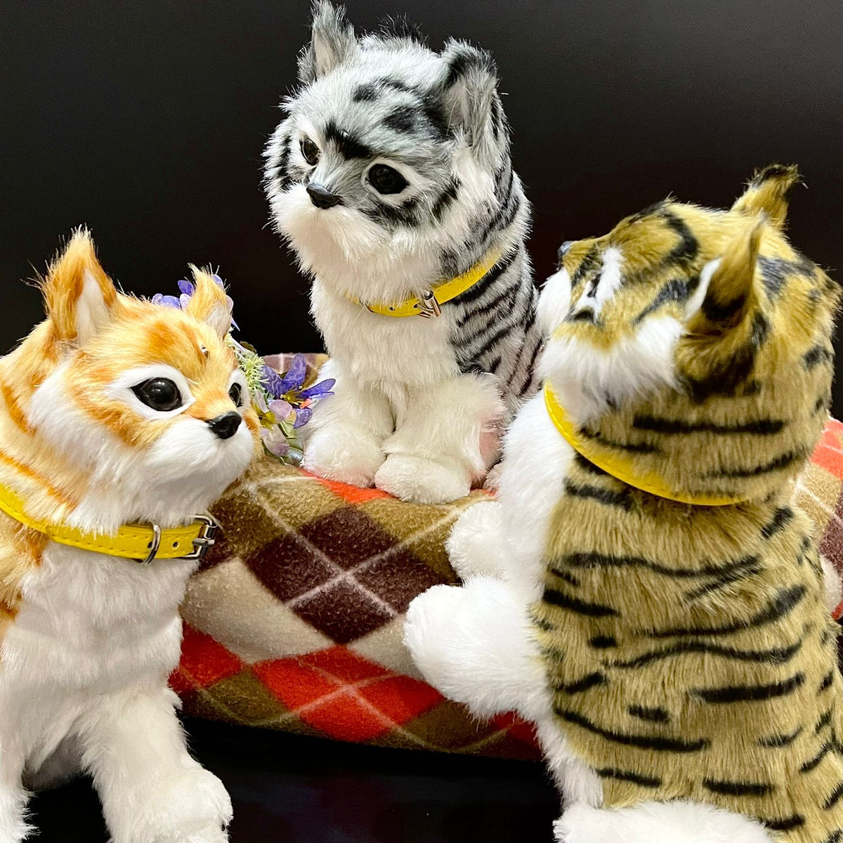 Little Alive Cats with Hand Sensor