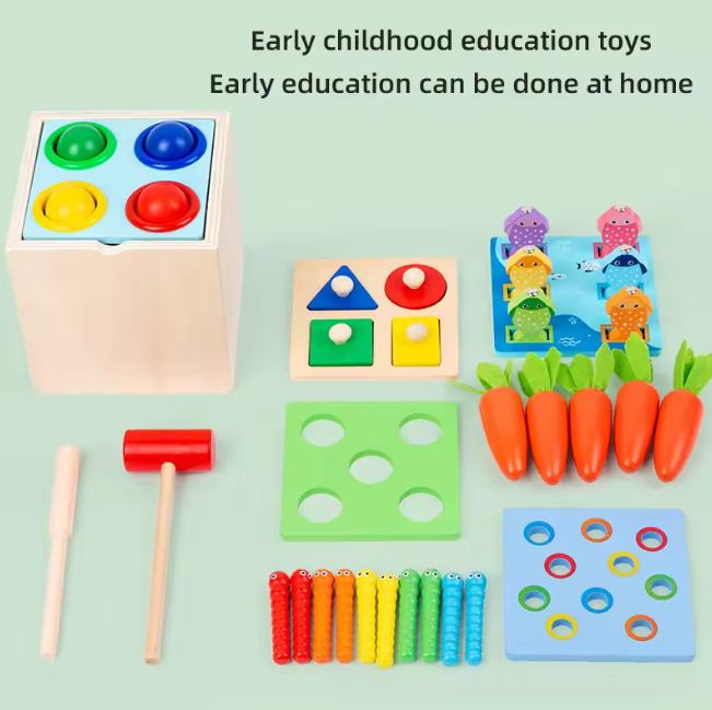 5in1 Wooden Montessori Educational Toy
