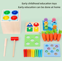 5in1 Wooden Montessori Educational Toy