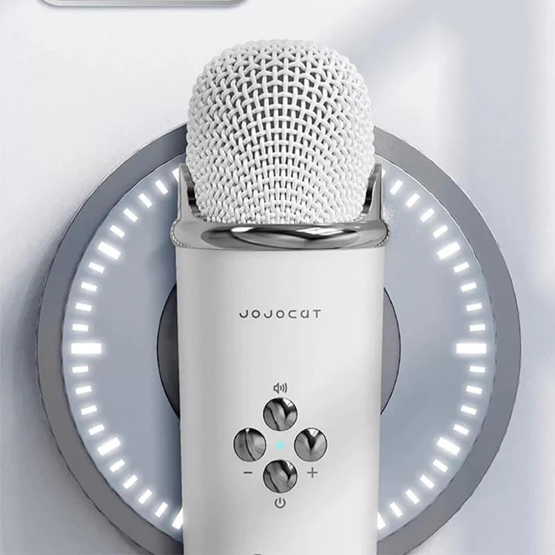 C20 Plus Wireless Karaoke Bluetooth Speaker With Microphone