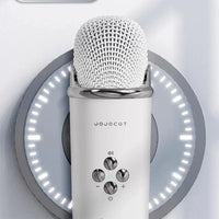 C20 Plus Wireless Karaoke Bluetooth Speaker With Microphone