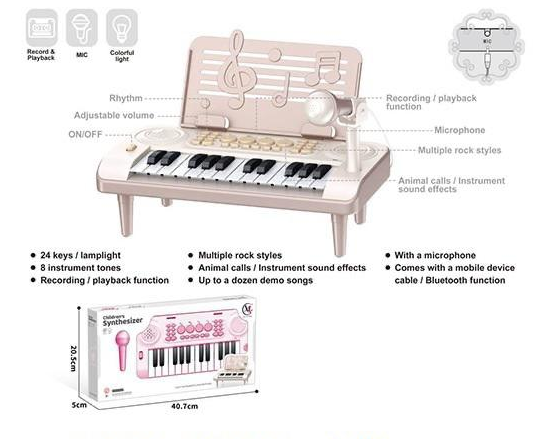 24 Keys Electronic Kids Keyboard Piano With Microphone
