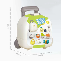 10Pcs Baby Rattles & Teether Set With Storage Suitcase