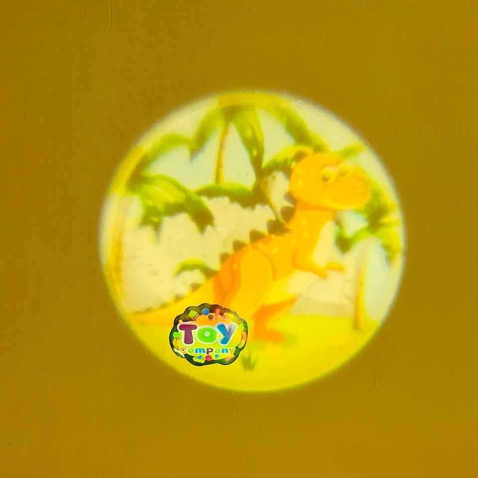 Fun Flash Light Projector Toy