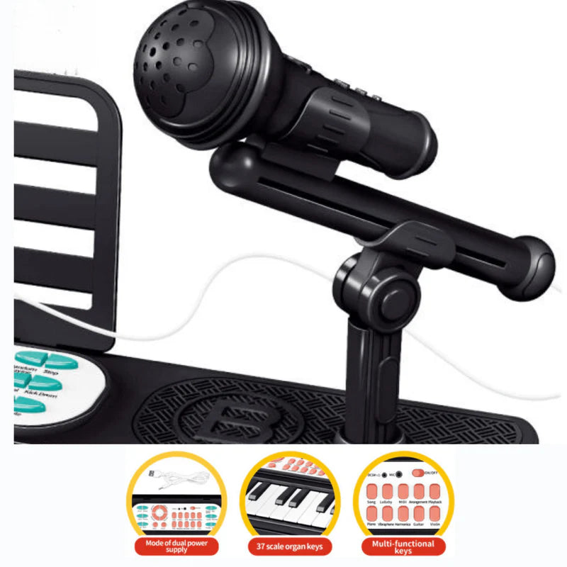 Multi-functional Electronic Organ Piano With Microphone