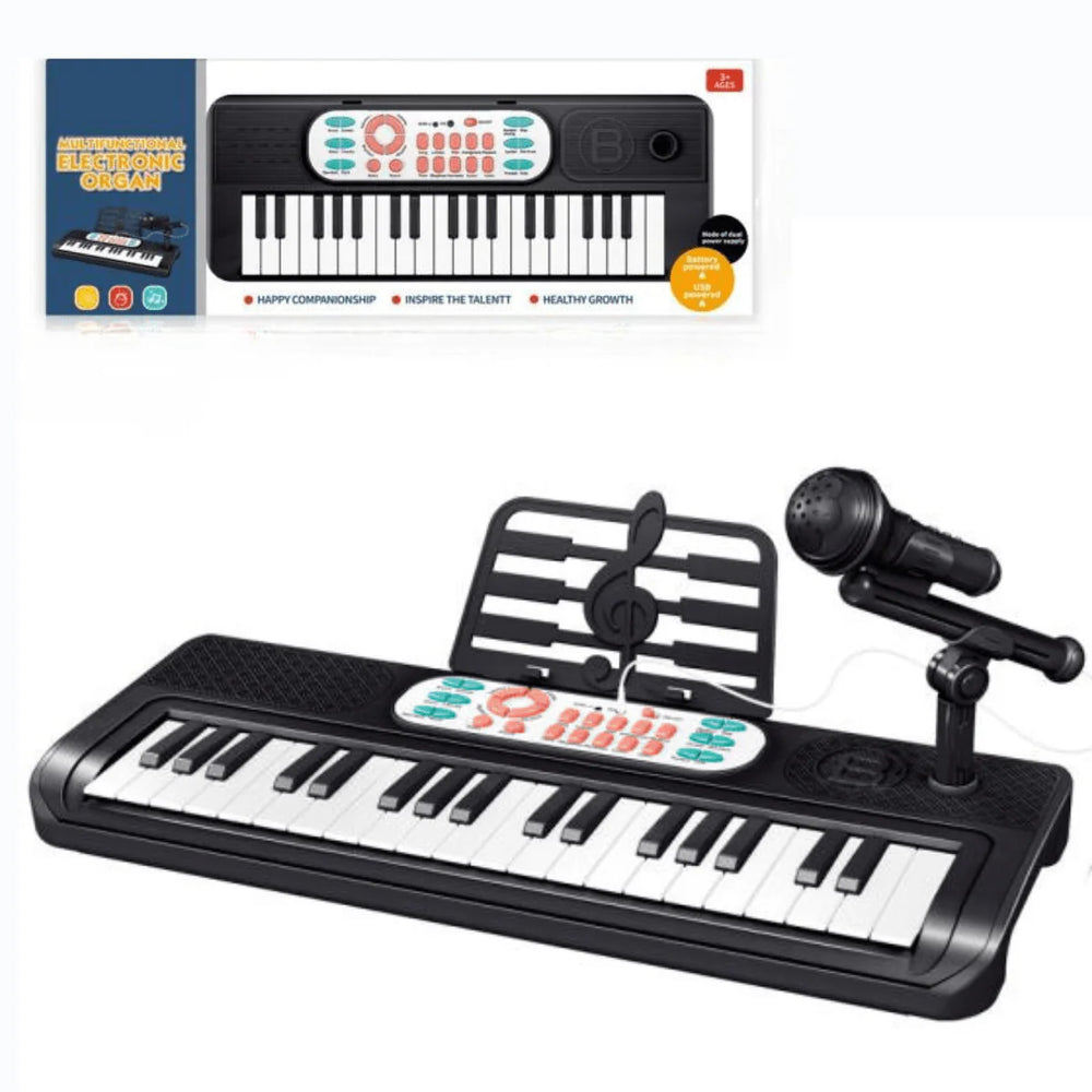 Multi-functional Electronic Organ Piano With Microphone