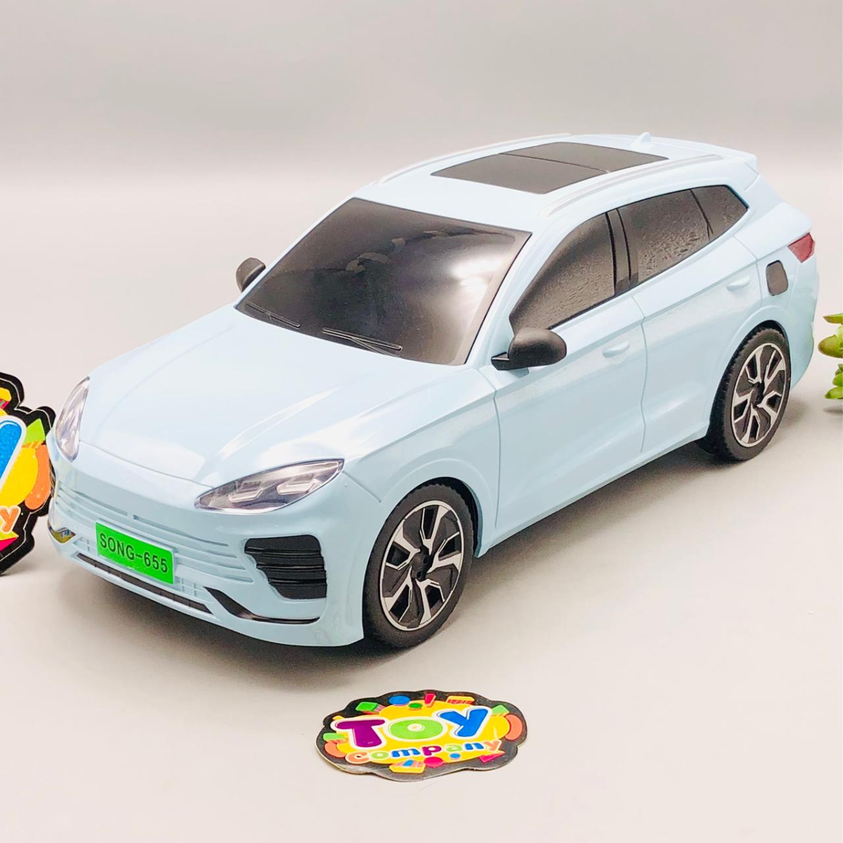 2.4Ghz Electric Remote Control SONG Plus Model Car