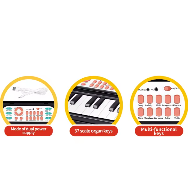 Multi-functional Electronic Organ Piano With Microphone