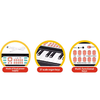 Multi-functional Electronic Organ Piano With Microphone