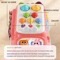 6in1 Multi-functional Baby Activity Car