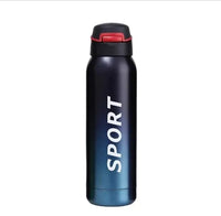 500ml Stainless Steel Sipper Water Bottle