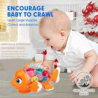 Electric Transparent Gear Fish With Light & Music