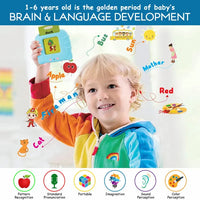 Rechargeable Flash card Reader Toddler Toy