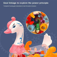 Electric Transparent Gear Swan With Light & Music