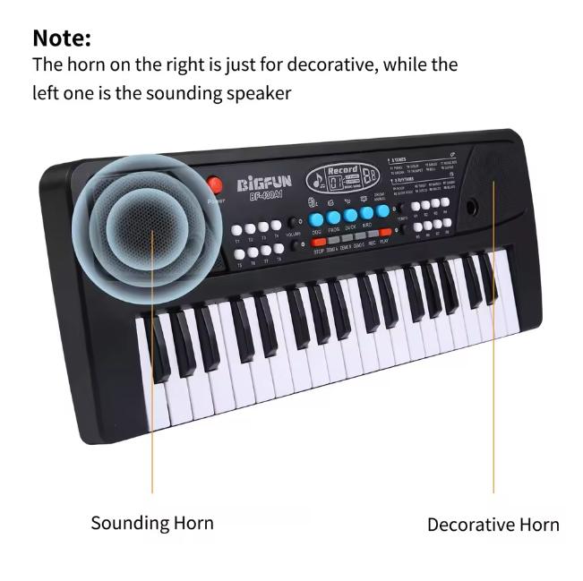 37 Keys BigFun Electronic Keyboard With Microphone