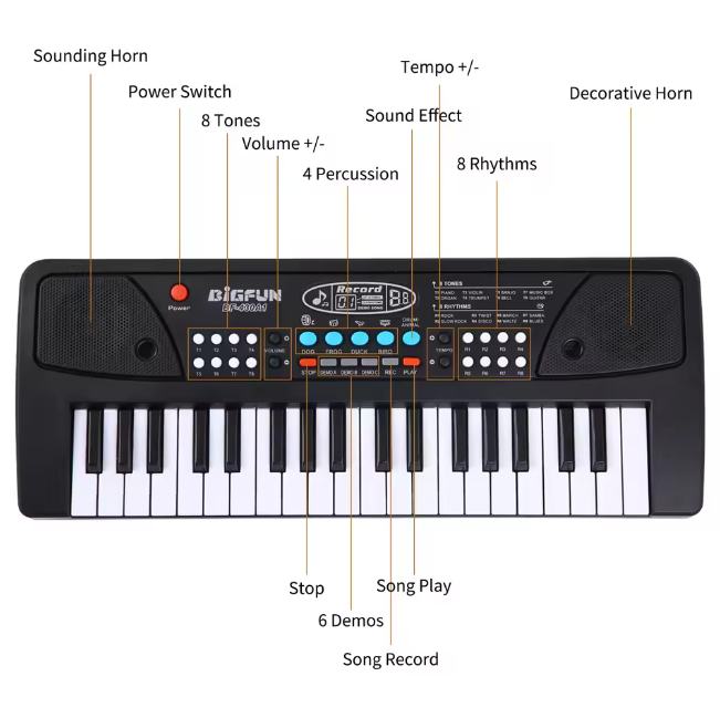 37 Keys BigFun Electronic Keyboard With Microphone