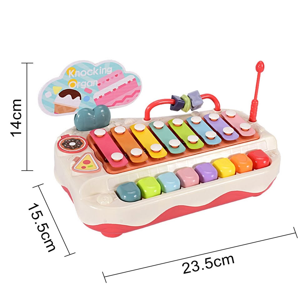 2in1 Toddler Knocking Xylophone & Piano Toy