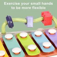 2in1 Toddler Knocking Xylophone & Piano Toy
