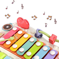 2in1 Toddler Knocking Xylophone & Piano Toy