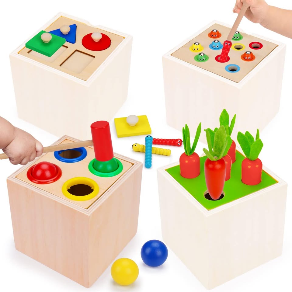 5in1 Wooden Montessori Educational Toy