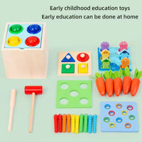 5in1 Wooden Montessori Educational Toy